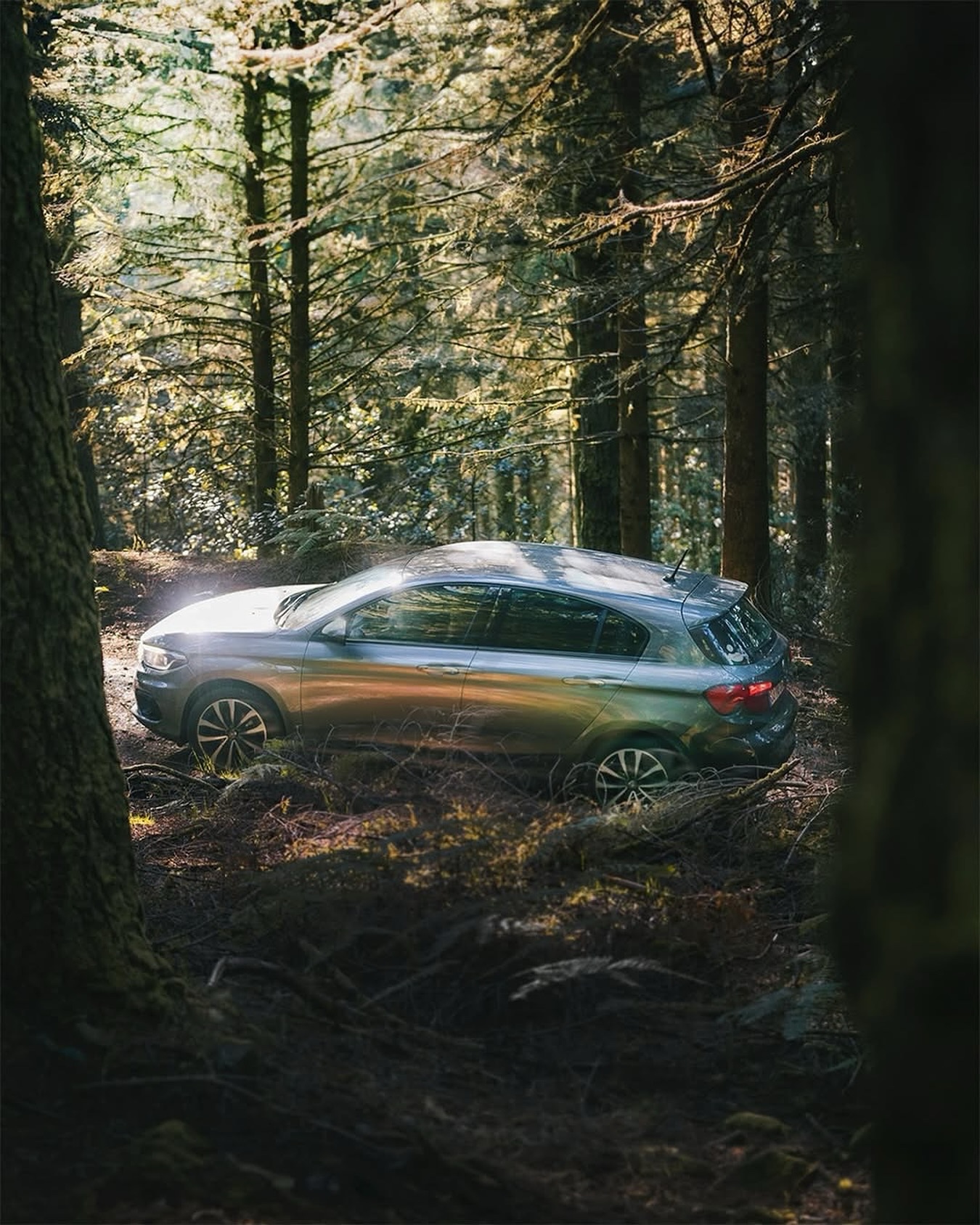 Rent a Car in Madeira Island: The Best Way to Choose the Right Vehicle and Drive With Confidence